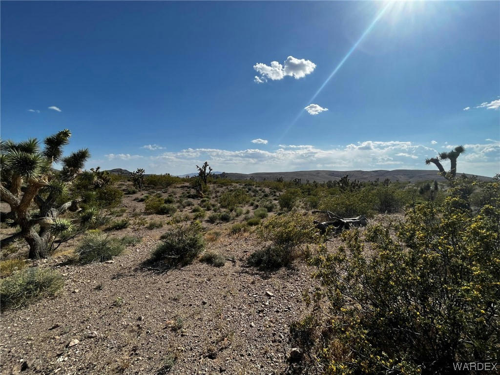 20618 N DEER DRIVE, WHITE HILLS, AZ 86445, photo 1 of 12