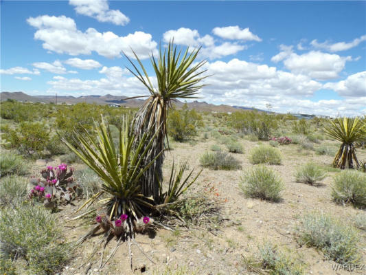 000 HOLIDAY DRIVE, DOLAN SPRINGS, AZ 86441, photo 2 of 21