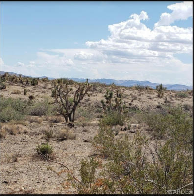 000 N KATHERINE, DOLAN SPRINGS, AZ 86441, photo 2 of 3