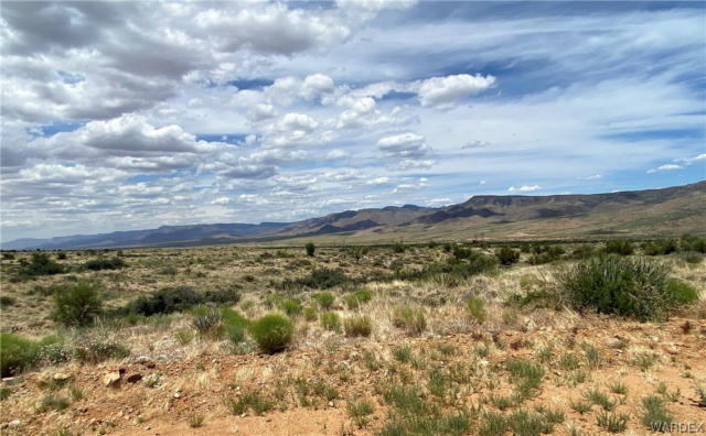 TBD N NORTH MINE ROAD, HACKBERRY, AZ 86411 - Image 1