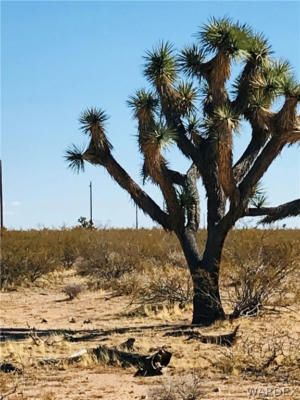 6D E RED BARREL ROAD, YUCCA, AZ 86438, photo 3 of 15