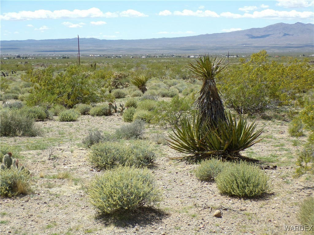 000 HOLIDAY DRIVE, DOLAN SPRINGS, AZ 86441, photo 1 of 21