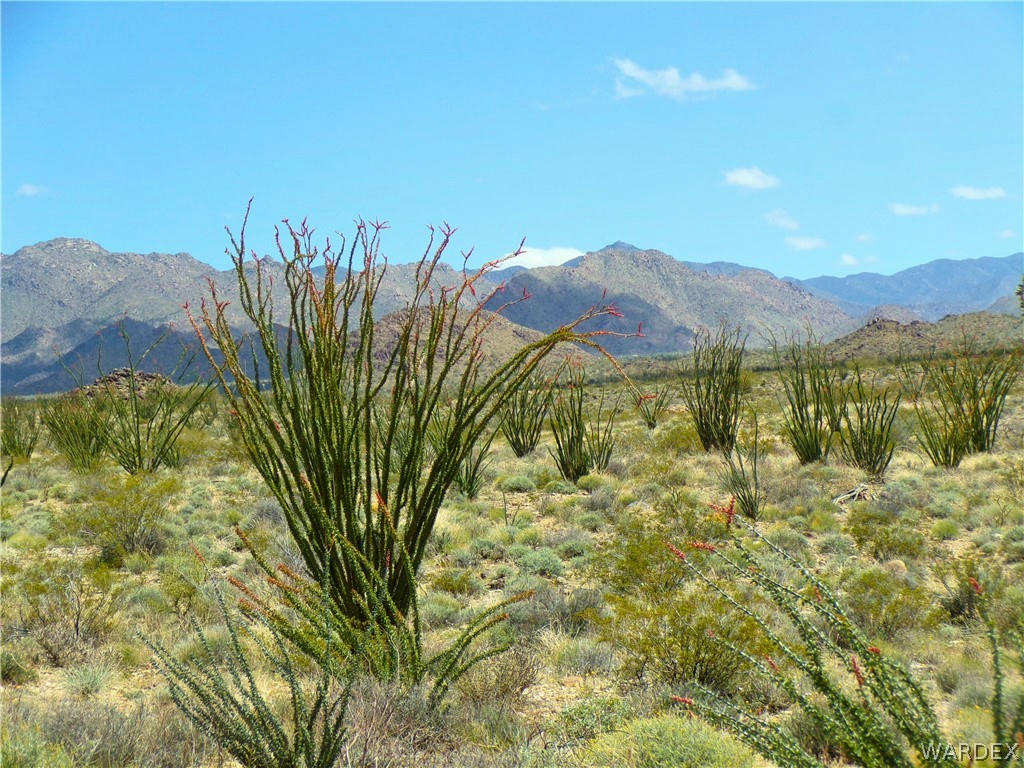 0 S COPPER CREEK, YUCCA, AZ 86438, photo 1 of 6