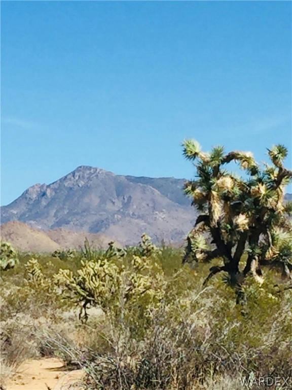 6D E RED BARREL ROAD, YUCCA, AZ 86438, photo 1 of 15